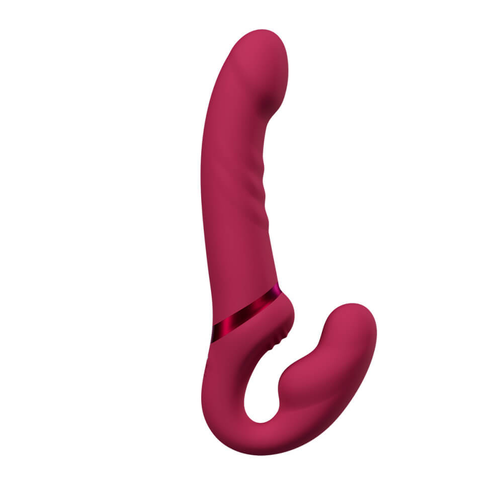 Lovense Couples Sextoy