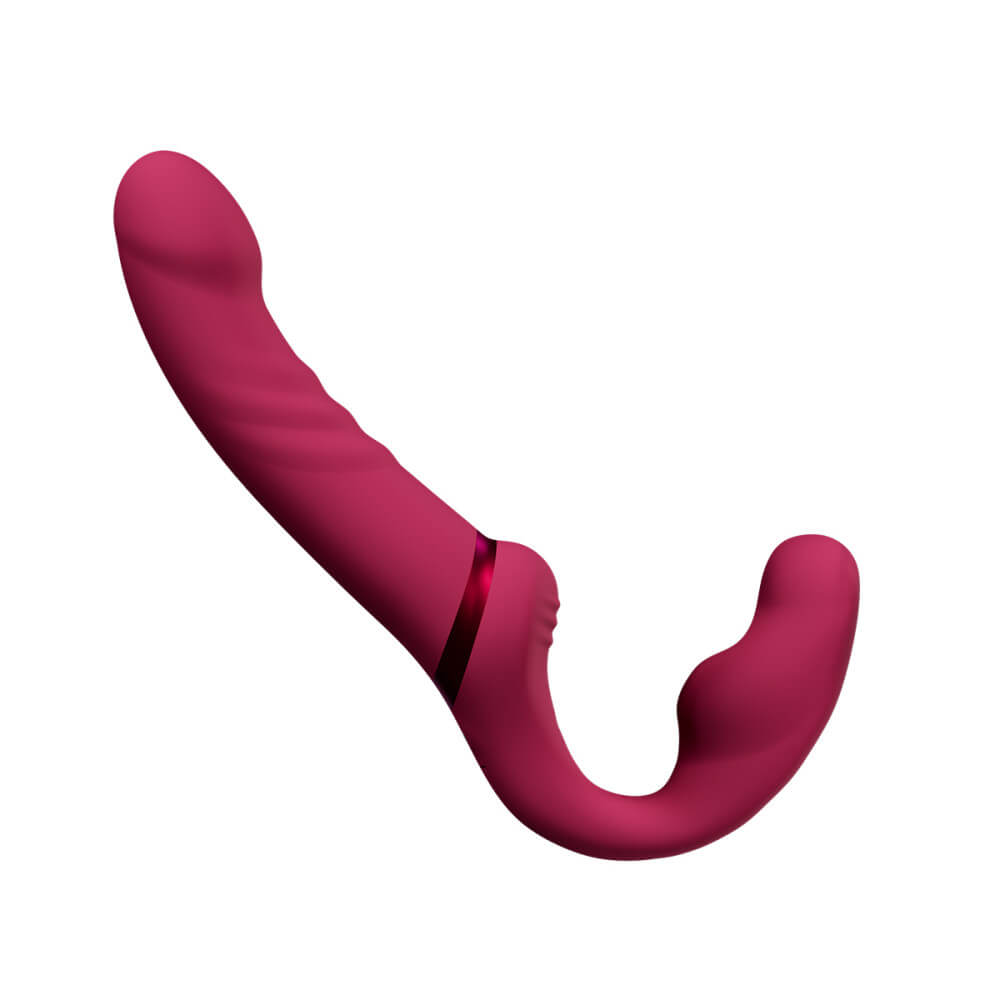 Lovense Sex Toys