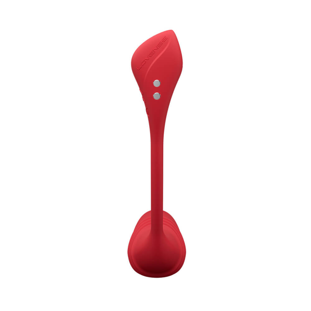 Vulse Lovense Vibrator