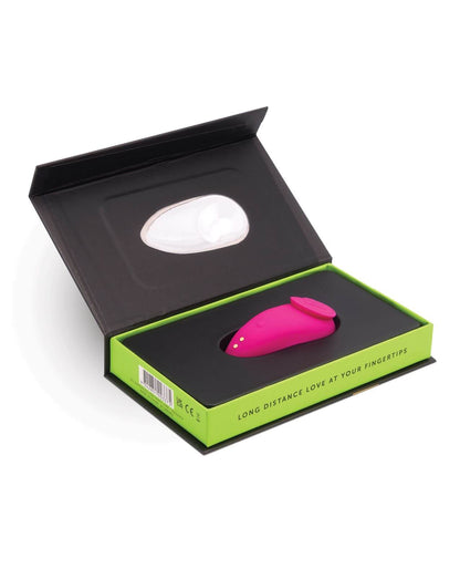 Panty Vibe Sex Toy