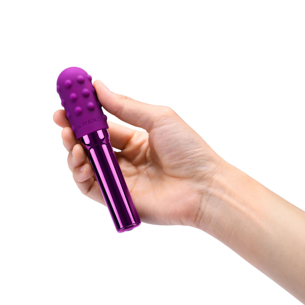 Le Wand Chrome Bullet Vibrators