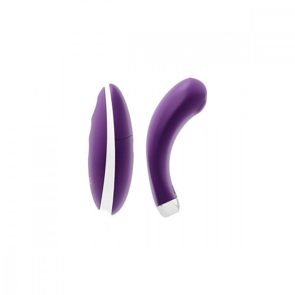 Panty Vibe Wearable Sex Toy Clitoral